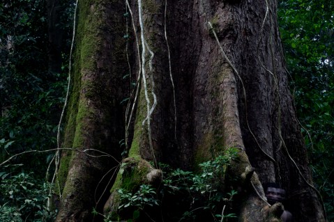 untitled, emkal 2016 (70x105)